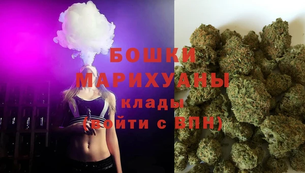 крисы Дмитриев