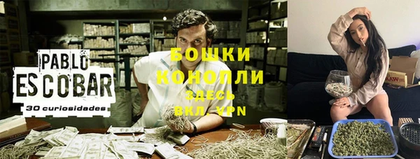не бодяженный Магас