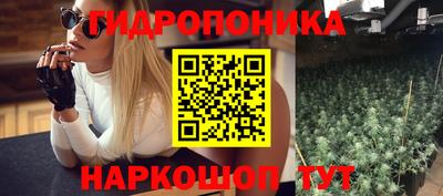 индика Бийск