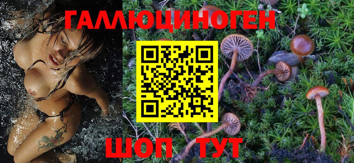 Галлюциногенные грибы MAGIC MUSHROOMS  Галлюциногенные грибы прущие грибы  Елабуга 