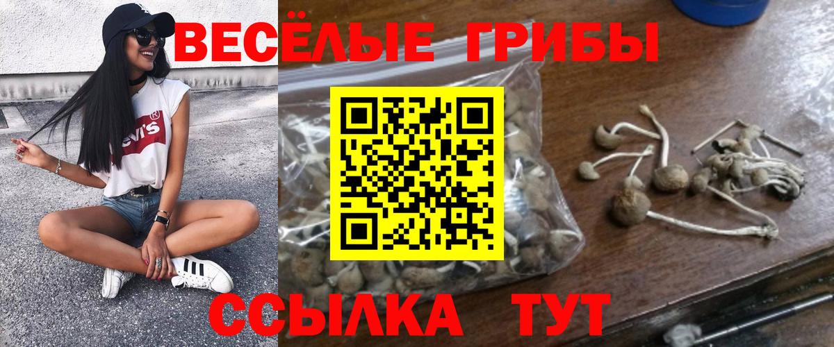 Галлюциногенные грибы мицелий  Галлюциногенные грибы GOLDEN TEACHER  Елабуга  Вход с VPN 
