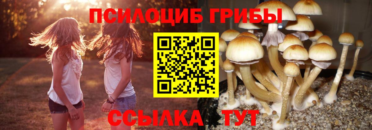 Псилоцибиновые грибы прущие грибы Елабуга